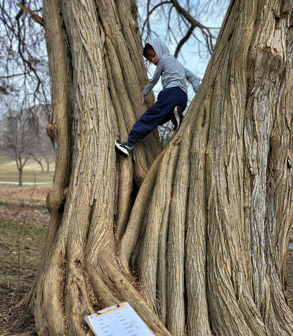20260330_142456 (3)_edited.jpg