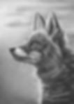 Alert Fox - Limited Edition Print