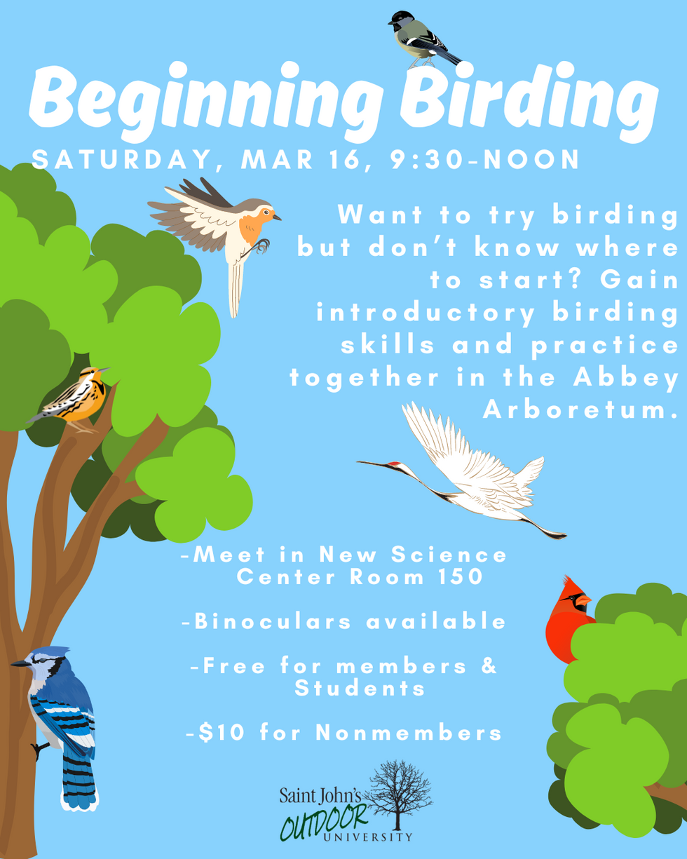 beginning birding (2)
