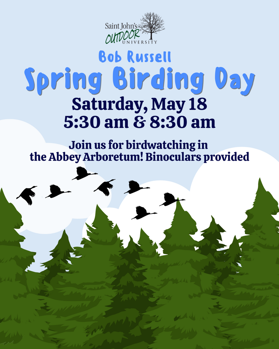 spring birding day (4)