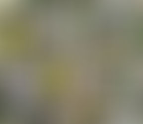 Input Protection Basics