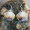 Thumbnail: 'Seashells' - Porcelain Drop Earrings 