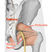 Yoga poses for Sciatica