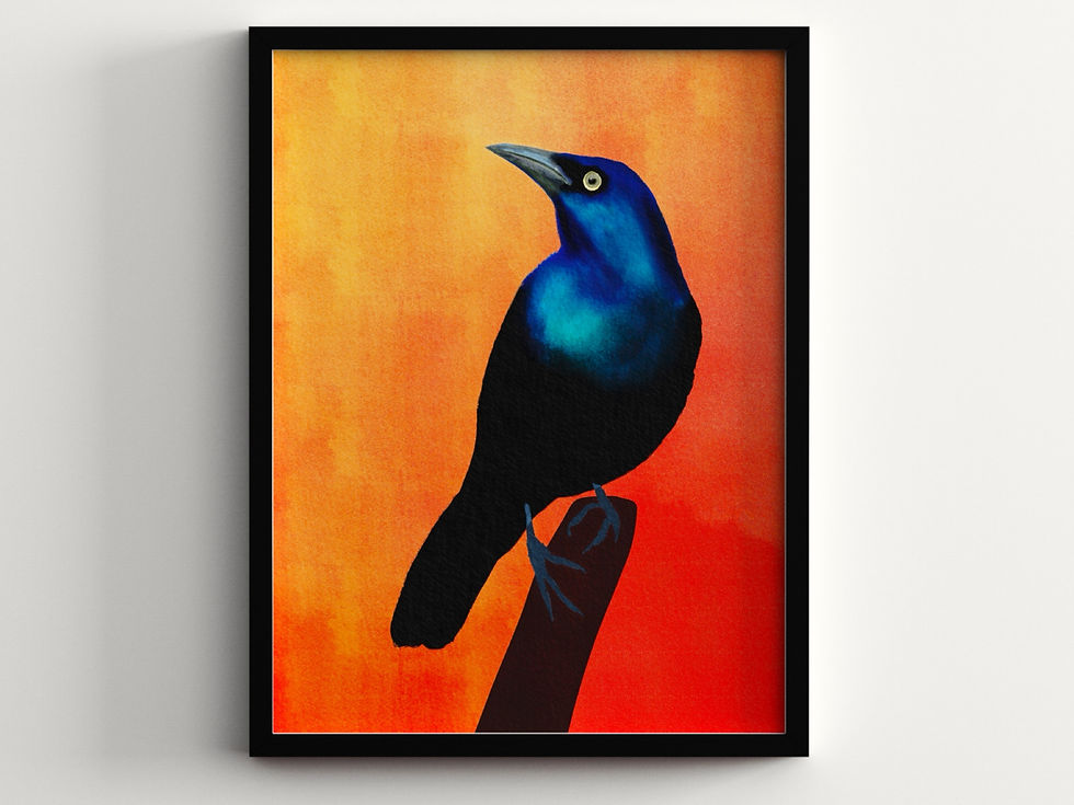 Grackle