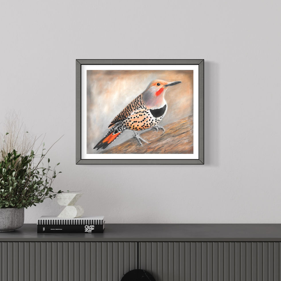 Northern Flicker