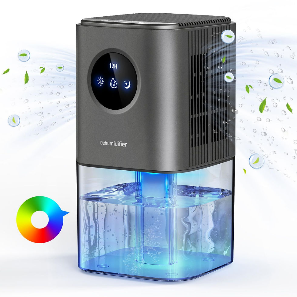 Dehumidifier for Home