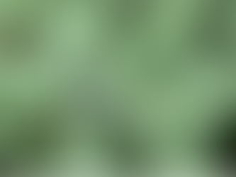 Quand les plantes se défendent