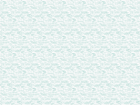 Motif_banhbanh_vert-blanc_edited.png