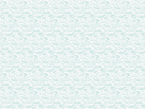 Motif_banhbanh_vert-blanc_edited.png