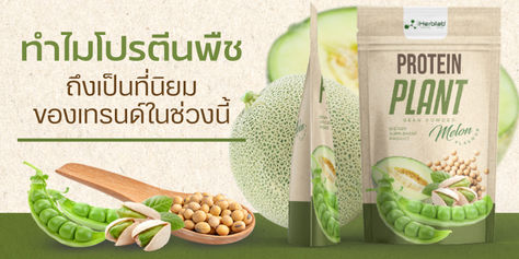ทำไมโปรตีนพืช ถึงเป็นที่นิยมของเทรนด์ปี2024