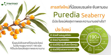 สารสกัดใหม่ที่น้อยแบรนด์จะจับตามอง Puredia Seaberry