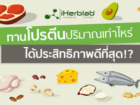 ทานโปรตีนปริมาณเท่าไหร่ ได้ประสิทธิภาพดีที่สุด!?