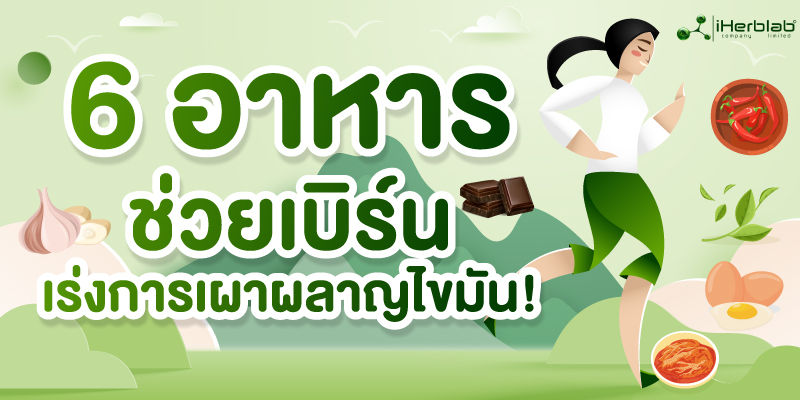 6 อาหารช่วยเบิร์น เร่งการเผาผลาญไขมัน!
