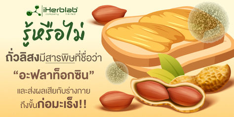 รู้หรือไม่ถั่วลิสงมีสารพิษที่ชื่อว่า “อะฟลาท็อกซิน”