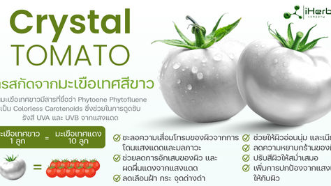 Pearl Tomato™ #สารกัดมะเขือเทศสีขาว