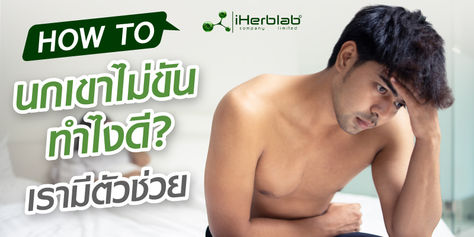 How to นกเขาไม่ขันทำไงดี? เรามีตัวช่วย