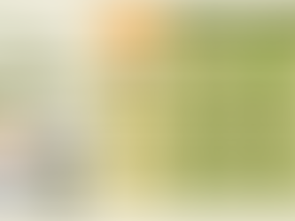 โปรตีนจากพืชหรือสัตว์ แบบไหนใช่สำหรับแบรนด์คุณ