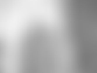 Businesswomen of the Bible