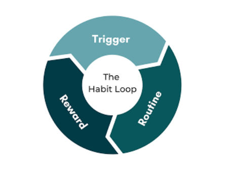 Neuroplasticity: Your Secret Weapon for Change