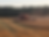 8120 cutting wheat