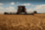 20100617- Ayars Farm Equipment-75.jpg