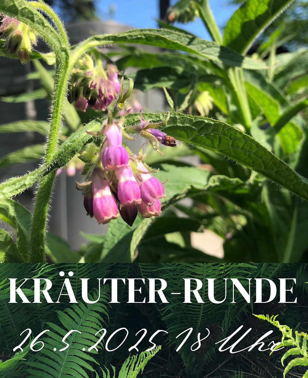 Kräuterrunde