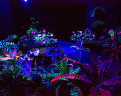 MG_3528_web-1024x1536.jpeg