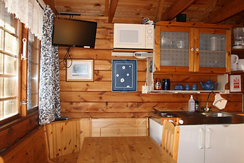 1_bedroom_house_kitchenette.JPG