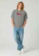 Küçük resim: Grey Ready