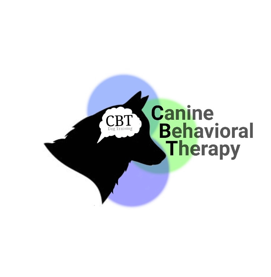 Home Canine Behavioral Therapy Dog Training South Elgin IL
