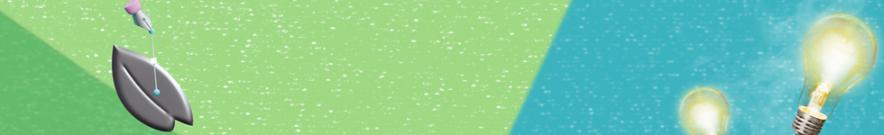 branding and package design strip new_edited.png