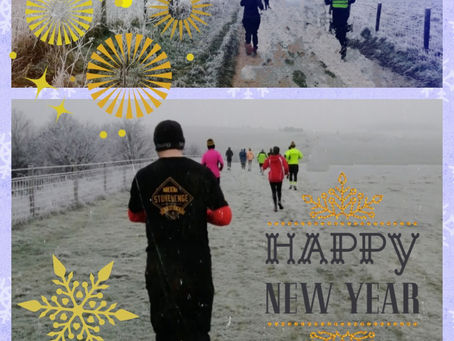 Happy New Year/Tier