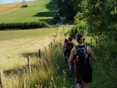 Striders Sunday Safari
