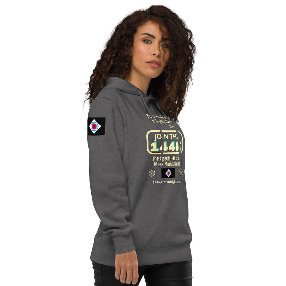 Thumbnail: Unisex fashion hoodie: External Protection & Gaia-Grid Connector Codes Only