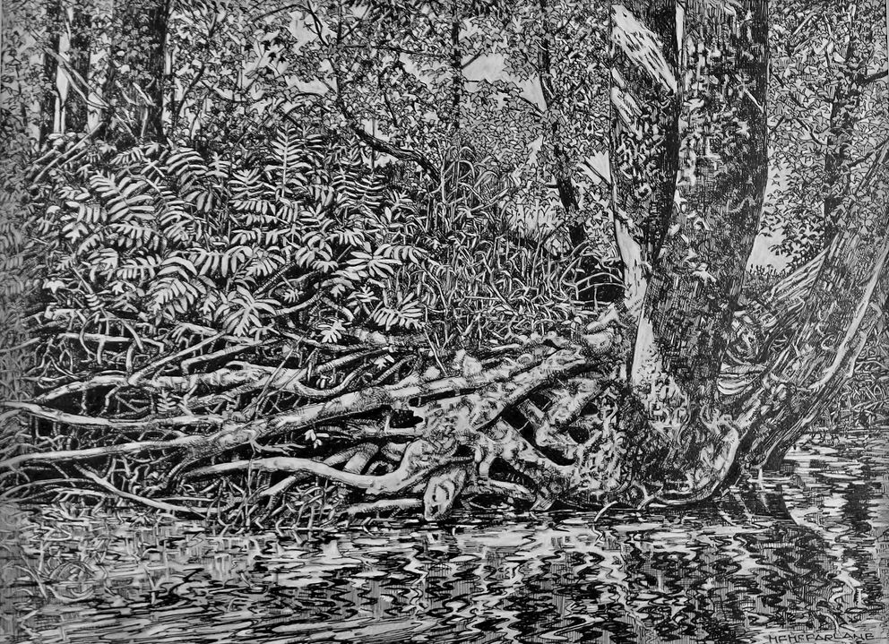 Riverside Roots