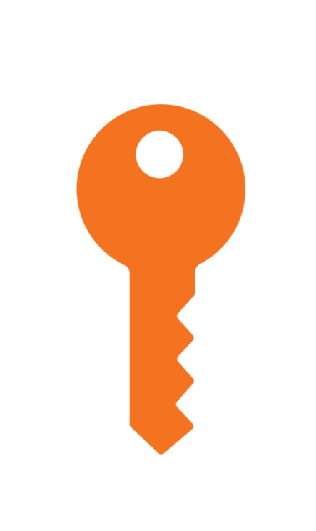 R4iconsorange-25_edited.png