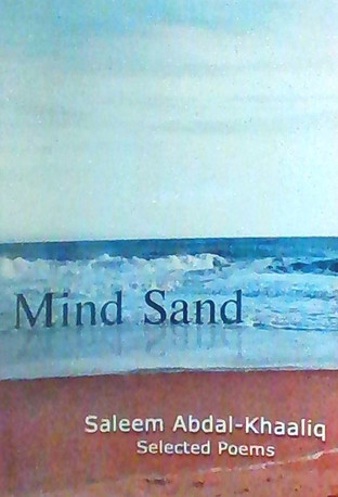 MS-Book Cover 2021-09-18_edited.jpg