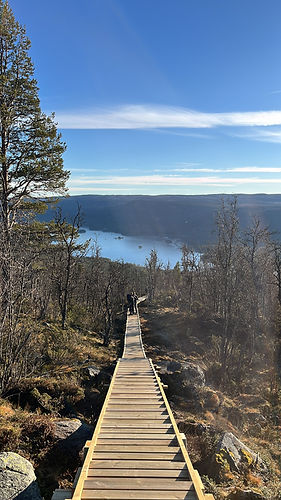 Hovdetrappa ferdig