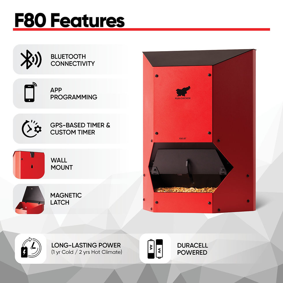 Thumbnail: F80 Feeder