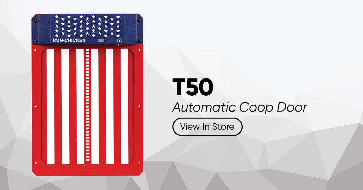 T50-2025 USA  
