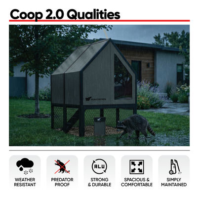 RUN-CHICKEN Coop 2.0 in a backyard during rain with a raccoon nearby, highlighting weather resistance and predator-proof design, with infographics for durability, comfort, and easy maintenance.