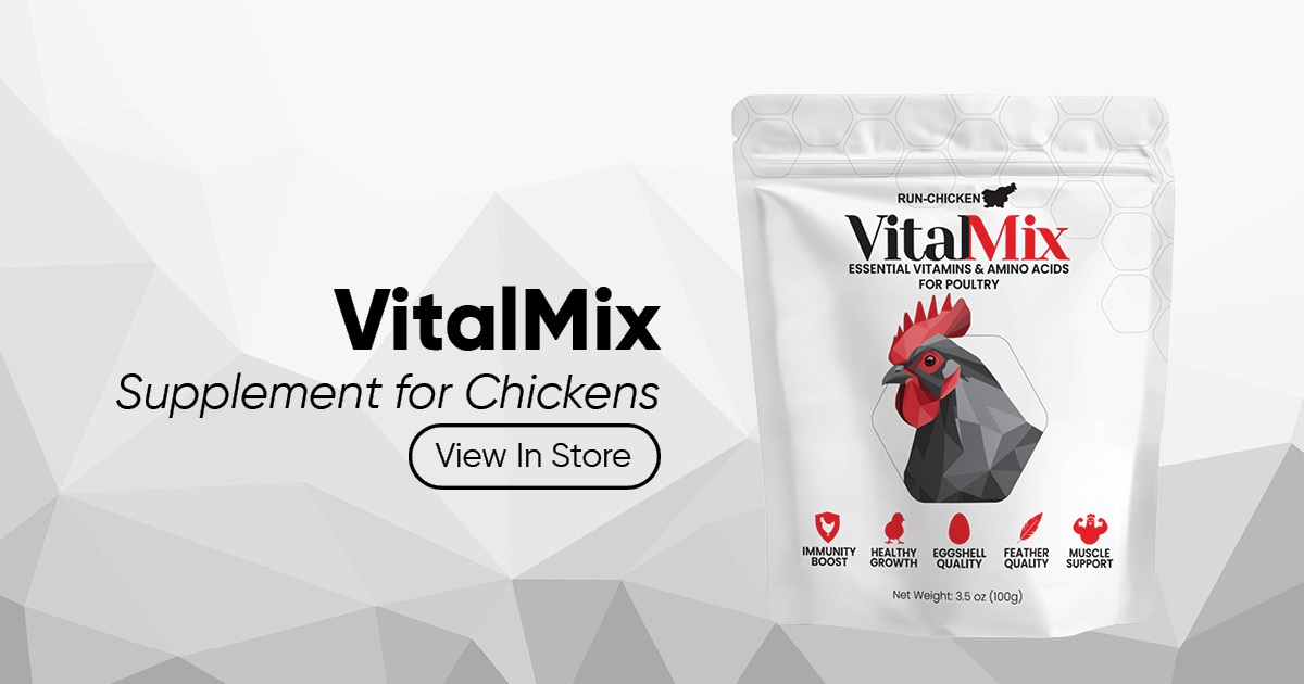 VitalMix  