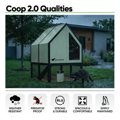 RUN-CHICKEN Coop 2.0 in a backyard during rain with a raccoon nearby, highlighting weather resistance and predator-proof design, with infographics for durability, comfort, and easy maintenance.