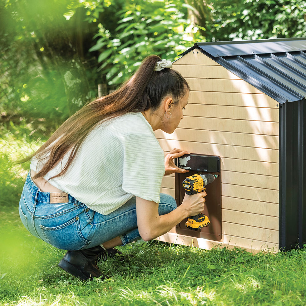 Miniaturbild: T50 Tür