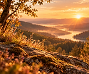 Vallée dorée au lever du soleil.png