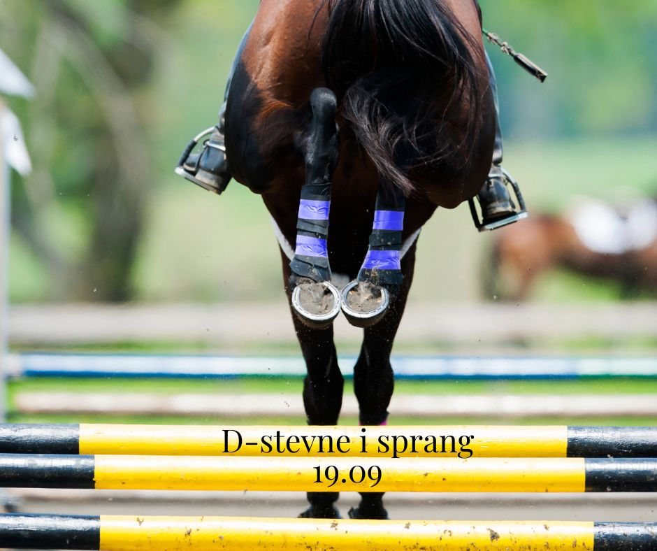 D-stevne sprang med klubb-/rekruttklasser.