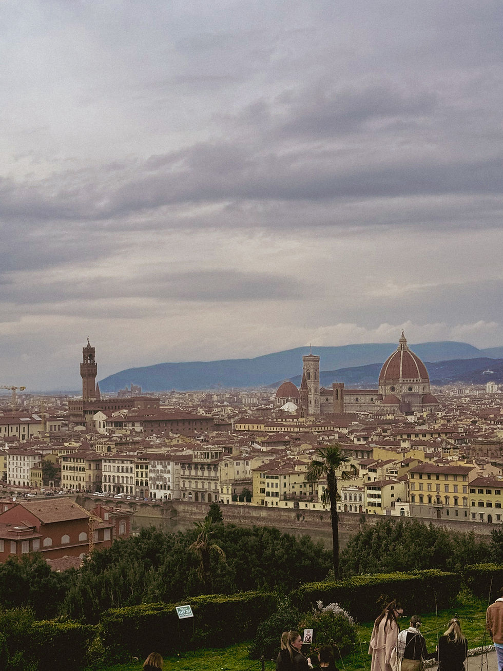 Overlooking Florence, Italy, with the Duomo and Palazzo Vecchio visible under a cloudy sky. People stand on a grassy hill in the foreground.