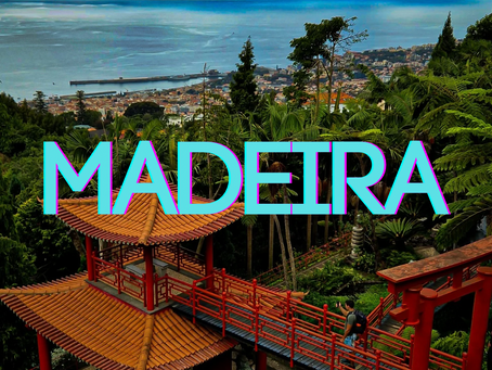 A Slow and Luxurious Week in Madeira - Whale Songs, Wine Sips & Mountain Bliss