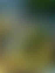 Views of the Grund in Luxembourg from the Chemin de Corniche