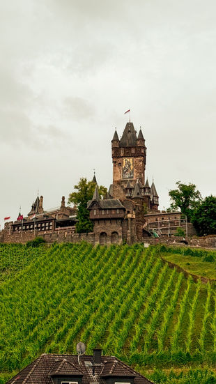 Vineyards rise up to a massive church